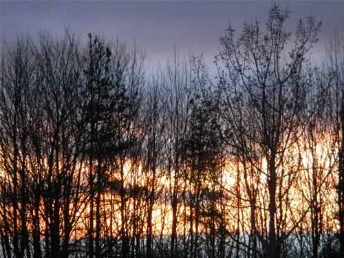<img0*375:stuff/Let%27s_set_this_sky_on_fire..jpg>