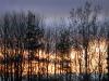 Let's_set_this_sky_on_fire.
