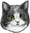 <img:stuff/Lft-eye_wink.png>