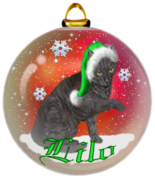 <img:stuff/LiloOrnament.png>