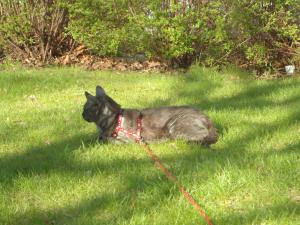 <img300*0:stuff/Lilo_in_the_Sun.jpg>