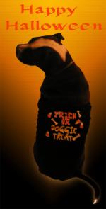 <img150*0:stuff/Loki%2005.jpg>
