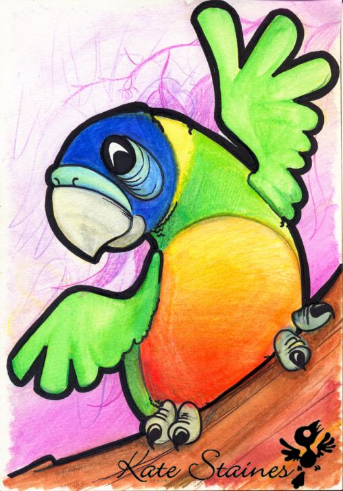 <img500*0:stuff/Lorikeet.jpg>