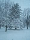 <img100*0:stuff/Lots_of_Snow_2.jpg>