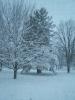 Snow Photos