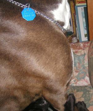 <img300*0:stuff/MDF%2023a.jpg>