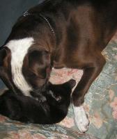 <img0*200:stuff/MDF%2026a.jpg>