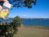 <img100*0:stuff/MMLongIsland2.jpg>