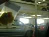 <img100*0:stuff/MMLongIsland5.jpg>