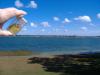 <img100*0:stuff/MMLongIsland7.jpg>