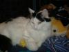 <img100*0:stuff/MMhome3.jpg>