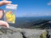<img100*0:stuff/MMmountain3.jpg>