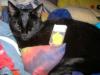 <img100*0:stuff/MMsooty.jpg>
