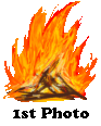 <img:stuff/MSF1stPhotoBadge.gif>