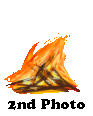 <img:stuff/MSF2ndPhotoBadge.gif>
