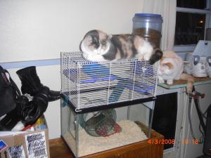 <img300*0:stuff/Maggie__and_her_friend_Lee_.jpg>