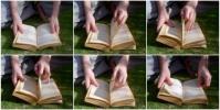 <img0*100:http://elftown.heddate.com/stuff/Male_-_opening_book_-_variety_of_hands.jpg>