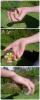 <img0*100:http://elftown.heddate.com/stuff/Male_holding_a_glass_orb.jpg>