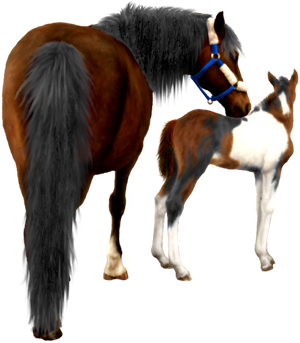 <img:stuff/Mare-DrkBayNfoal-TriPinto300_test.png>
