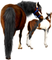 <img:stuff/Mare-DrkBayNfoal-TriPinto75_test.png>