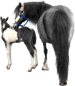 <img:stuff/Mare-GrayNfoal-BlkWhPinto75_rev_test.png>