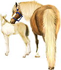 <img:stuff/Mare-PalNfoal-CreamPinto125__rev_test.png>