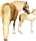 <img:stuff/Mare-PalNfoal-CreamPinto125_test.png>