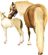 <img:stuff/Mare-PalNfoal-CreamPinto200__rev_test.png>