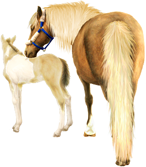 <img:stuff/Mare-PalNfoal-CreamPinto300__rev_test.png>