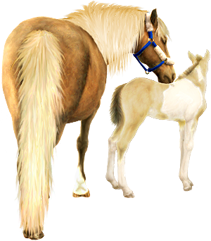 <img:stuff/Mare-PalNfoal-CreamPinto300_test.png>
