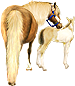 <img:stuff/Mare-PalNfoal-CreamPinto75_test.png>