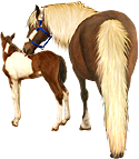 <img:stuff/Mare-YsNfoal-ChestPinto125_rev_test.png>