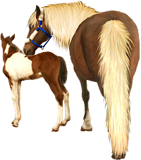 <img:stuff/Mare-YsNfoal-ChestPinto200_rev_test.png>