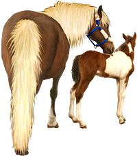 <img:stuff/Mare-YsNfoal-ChestPinto200_test.png>