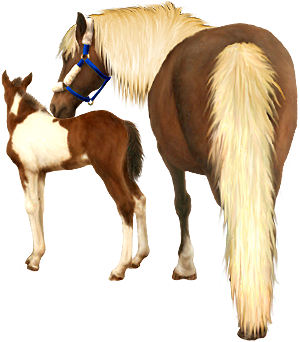 <img:stuff/Mare-YsNfoal-ChestPinto300_rev_test.png>