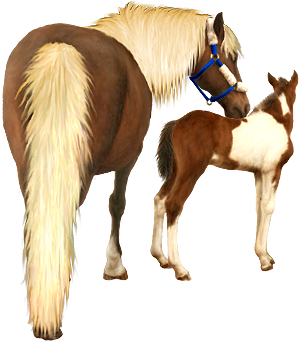 <img:stuff/Mare-YsNfoal-ChestPinto300_test.png>