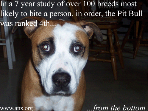 <img:stuff/Max_Statistics.gif>