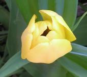 <img0*150:stuff/May%205.jpg>