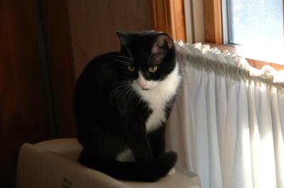 <img400*0:stuff/MayWindow.jpg>