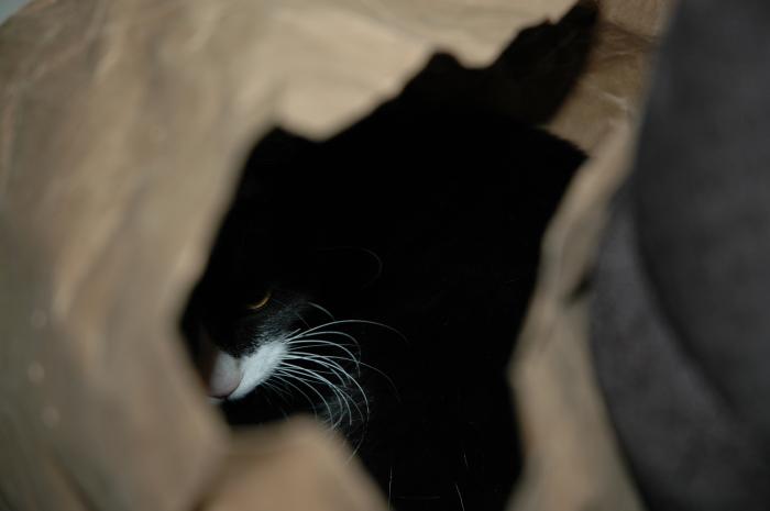 <img700*0:stuff/Maybag.jpg>