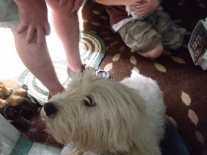 <img300*0:stuff/Meadhbh%20005.jpg>