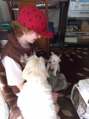 <img300*0:stuff/Meadhbh%20006.jpg>