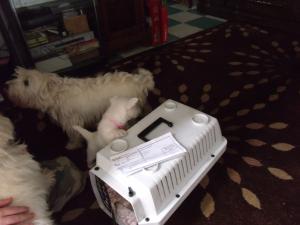 <img300*0:stuff/Meadhbh%20007.jpg>