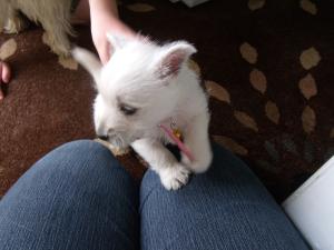 <img300*0:stuff/Meadhbh%20010.jpg>