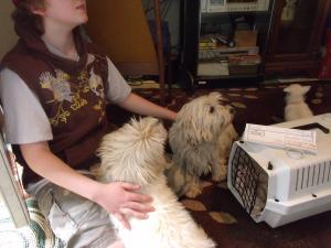 <img300*0:stuff/Meadhbh%20011.jpg>