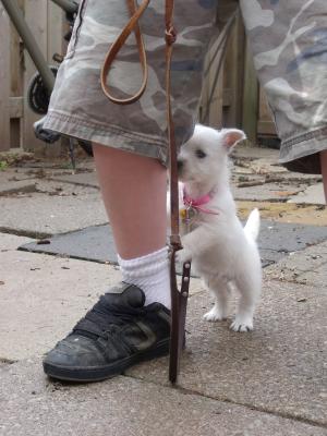 <img300*0:stuff/Meadhbh%20020.jpg>
