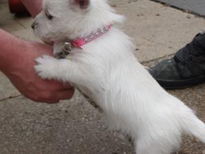 <img300*0:stuff/Meadhbh%20024.jpg>