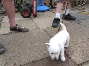 <img300*0:stuff/Meadhbh%20025.jpg>