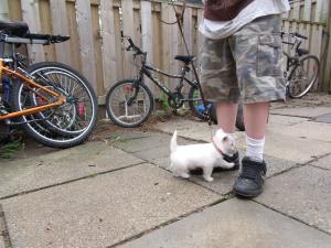 <img300*0:stuff/Meadhbh%20030.jpg>