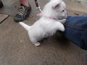 <img300*0:stuff/Meadhbh%20031.jpg>